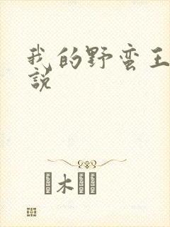我的野蛮王妃小说