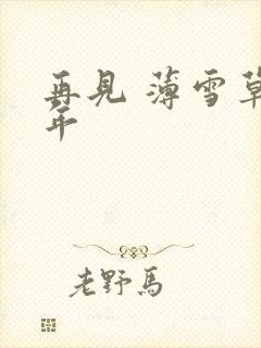 再见 薄雪草少年