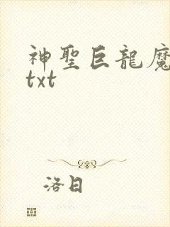 神圣巨龙魔法师txt