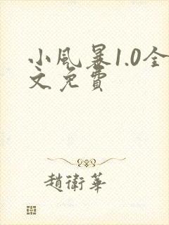 小风暴1.0全文免费