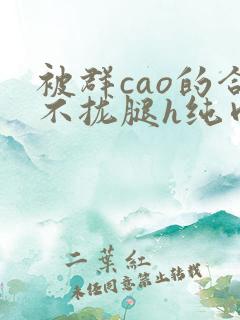 被群cao的合不拢腿h纯肉视频