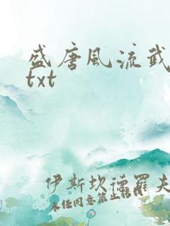 盛唐风流武状元txt