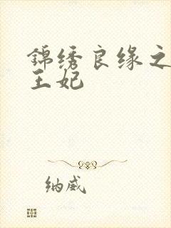 锦绣良缘之北地王妃