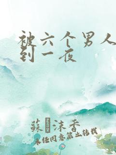 被六个男人躁J到一夜