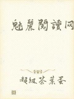 魅丽阅读网