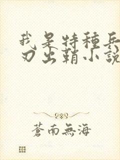 我是特种兵之利刃出鞘小说