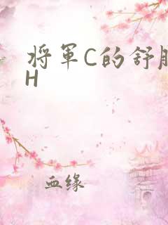 将军C的舒服么H