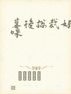 幕后总裁好孕妈咪