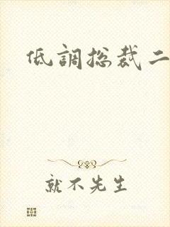 低调总裁二手妻