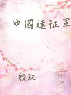 中国远征军下载