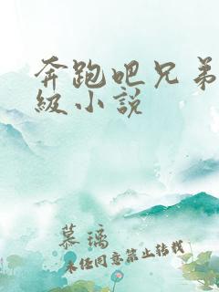 奔跑吧兄弟限制级小说