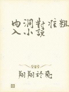 肉洞对准粗大坐入小说