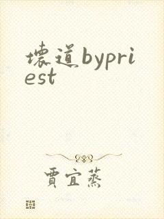 坏道bypriest