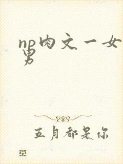np肉文一女多男
