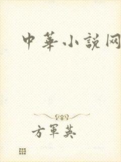 中华小说网