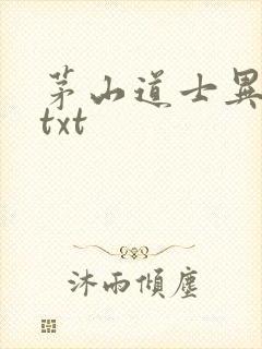 茅山道士异界游txt