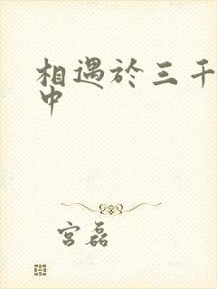 相遇于三千肉文中