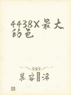 4438X最大的色