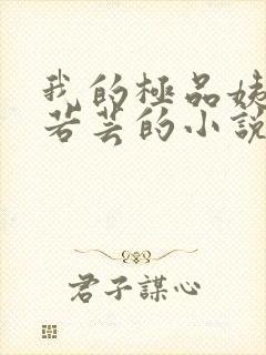 我的极品姨妈柳若芸的小说在线