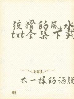 狡猾的风水相师txt全集下载