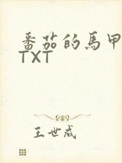 番茄的马甲小说TXT
