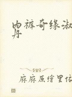 内裤奇缘淑芬小丹