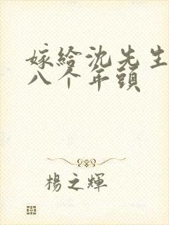 嫁给沈先生的第八个年头