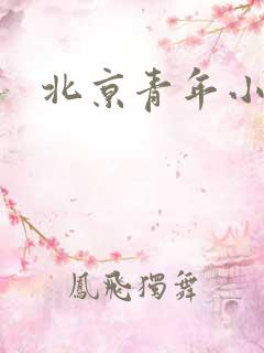 北京青年小说