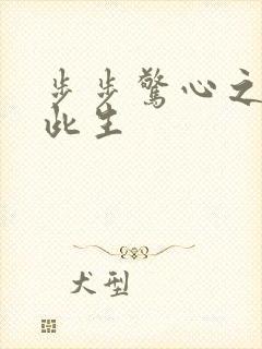 步步惊心之禛曦此生