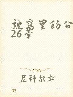 被窝里的公憩第26章