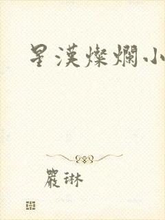 星汉灿烂小说
