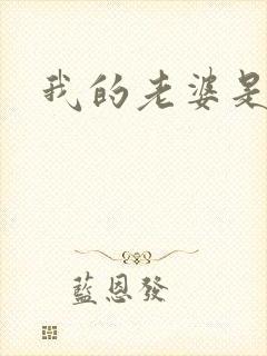 我的老婆是卧底