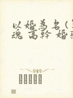 以婚为名 (军魂 高干 婚恋)