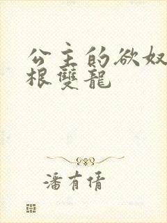 公主的欲奴h四根双龙