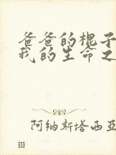 爸爸的棍子顶着我的生命之苏苗