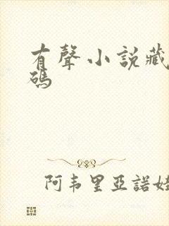 有声小说藏地密码