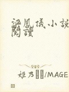 梁凤仪小说在线阅读