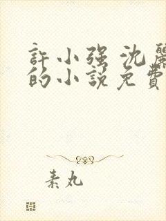 许小强 沈丽娟的小说免费阅读