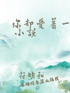 你却爱着一个他 小说