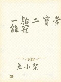 一胎二宝爹地超能宠