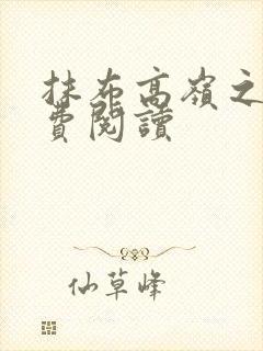 抹布高岭之花免费阅读