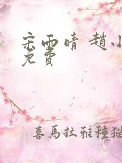 宋雨晴 赵小刚免费