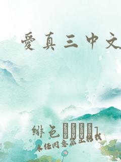 爱真三中文网