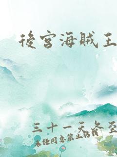 后宫海贼王下载