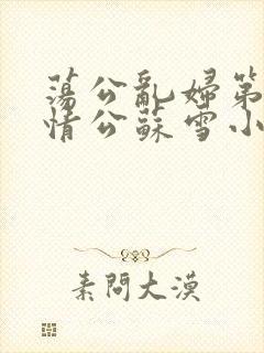 荡公乱妇第1章情公苏雪小说