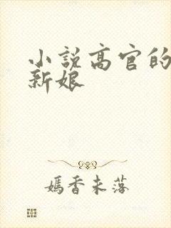 小说高官的暗夜新娘