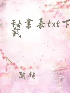秘书长txt下载
