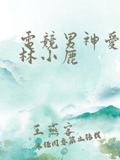 电竞男神爱上我林小鹿