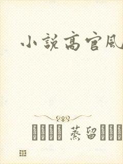 小说高官风流