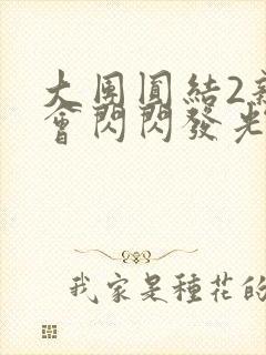 大团圆结2亲情会闪闪发光目录